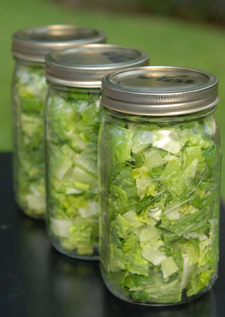 Vacuum-packed jars of Romaine lettuce